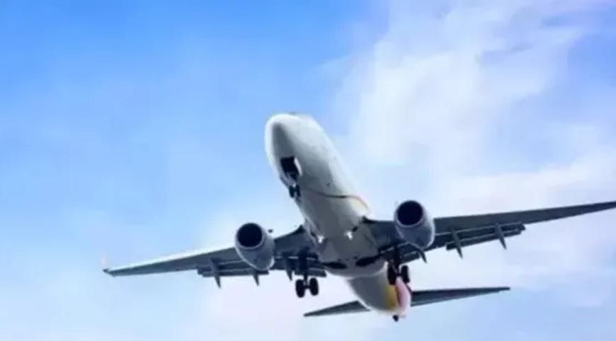 पटना एयरपोर्ट पर बढ़ा बर्ड हिट का खतरा, 2025 में सामने आए 9 मामले