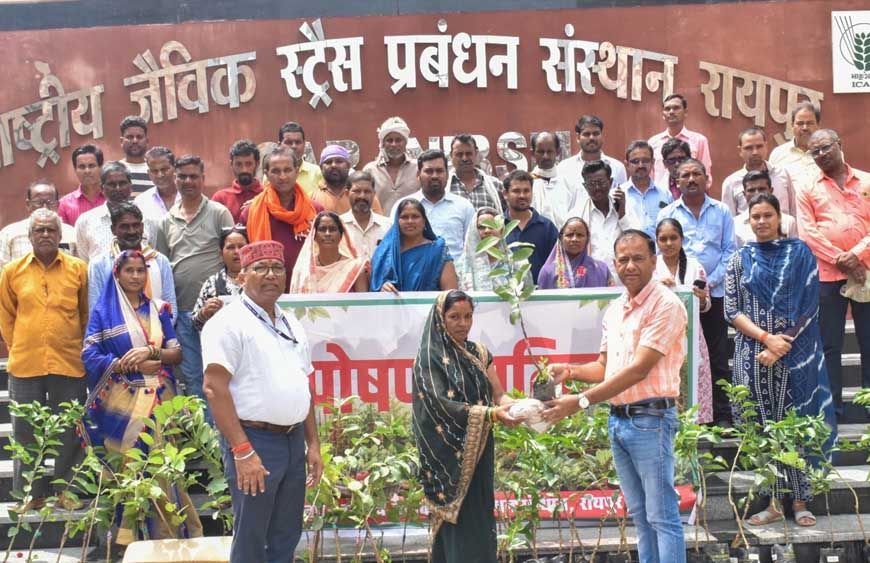आईसीएआर-एनआईबीएसएम द्वारा 'पोषण वाटिका' पर प्रशिक्षण कार्यक्रम आयोजित