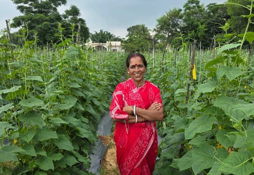 बिहान से बहनों को मिला आर्थिक संबल, खीरे की खेती से सुभद्रा मंडल ने लिखी आत्मनिर्भरता की नई कहानी