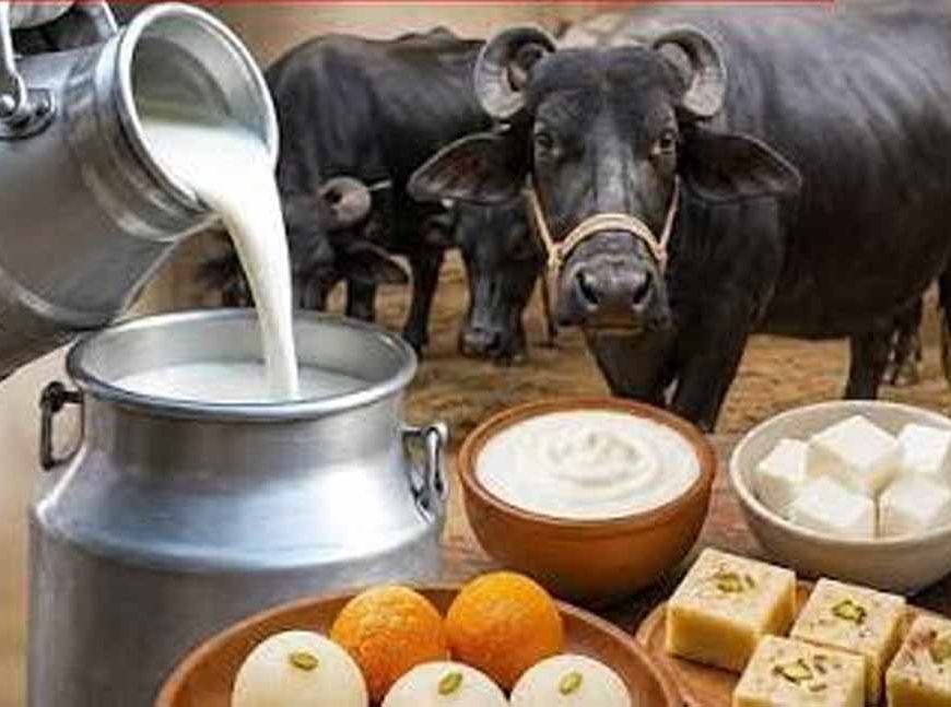 हरियाणा में अब 100 रुपये लीटर मिलेगा दूध! कम रेट में बेचने पर 5100 का जुर्माना