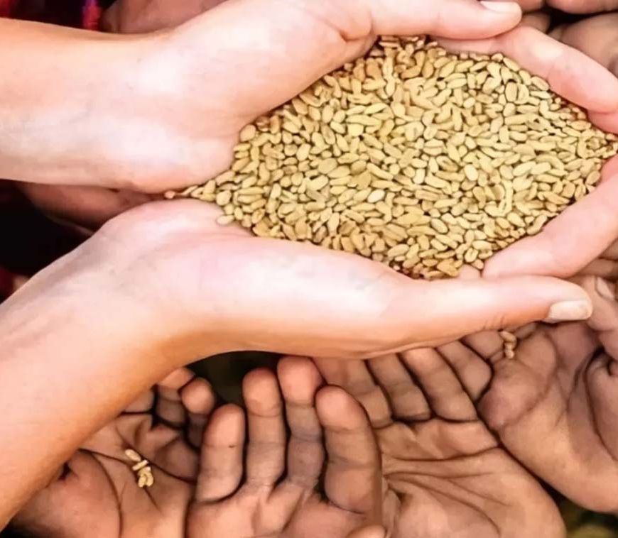 राजस्थान में राशन वितरण पर संकट! 4 सितंबर के बाद खराब हुई POS मशीन तो नहीं मिलेगा गेहूं