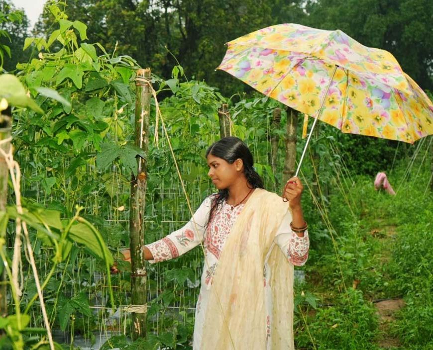 ड्रिप विधि से सब्जी की खेती ने बनाया ‘लखपति दीदी’, सालाना डेढ़ लाख की कमाई