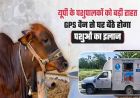 गोवंश को तुरंत मिलेगा उपचार, हर जिले में बनेगा इमरजेंसी रेस्क्यू सिस्टम