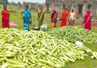 अतिक्रमण मुक्त 25 एकड़ बंजर भूमि पर उगी समृद्धि