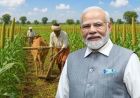 झारखंड को बंजर भूमि विकास के लिए मिलेंगे ₹20 करोड़, मिलेट्स की खेती को मिलेगा बढ़ावा