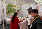 छत्तीसगढ़ में लक्ष्य का 99 प्रतिशत बोनी पूर्ण
