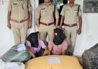 अवैध मादक पदार्थों के विरुद्ध मध्यप्रदेश पुलिस की विगत 5 दिनों में व्यापक कार्रवाई