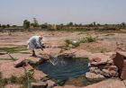 हरियाणा में 23% कम बारिश, कमजोर मानसून से खेती पर पड़ेगा असर