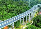 सरिस्का एलिवेटेड रोड का नया प्रस्ताव, 2200 करोड़ में बनेगा 22 KM लंबा कॉरिडोर
