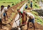 झारखंड में 125 दिन रोजगार की गारंटी, सरकार ने नई ग्रामीण योजना की अधिसूचना जारी की