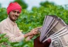 हरियाणा के किसानों को बड़ी सौगात, बाग लगाने पर मिलेगा ₹1.40 लाख प्रति एकड़ तक अनुदान
