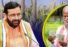 हरियाणा के बाजरा किसानों को बड़ी राहत, भावांतर योजना में मिलेगा ₹2900 MSP