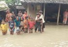 बिहार में बाढ़ का फिर बढ़ा खतरा, कोसी-गंडक उफान पर; 17 जिलों में अलर्ट
