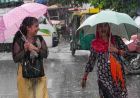 पंजाब में बदला मौसम, 13 जिलों में अलर्ट; जालंधर में तेज बारिश