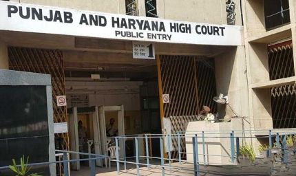 पंजाब की जेलों में नशे का जाल, 44% कैदी नशे के आदी; हाईकोर्ट ने लिया सख्त रुख
