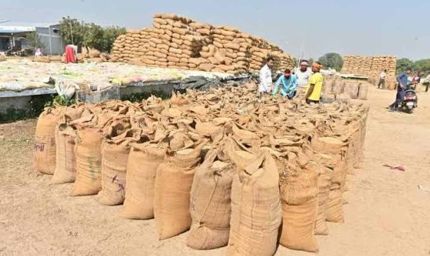 सुकमा में खुलेंगे 6 नए धान खरीदी केंद्र, किसानों को मिलेगी बड़ी सुविधा
