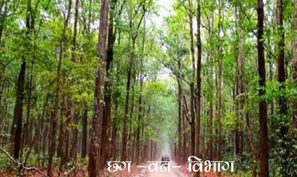वन विभाग के 3630 दैनिक वेतनभोगियों के लिए बड़ी खुशखबरी, नियमितीकरण की प्रक्रिया शुरू