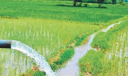 जल संसाधन विभाग द्वारा सिंचाई योजनाओं के 36 कार्यों के लिए 146.43 करोड़ रूपए स्वीकृत
