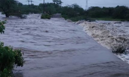 MP-छत्तीसगढ़ का संपर्क टूटा, शहडोल में बारिश बनी आफत; बाणसागर के 8 गेट खुले