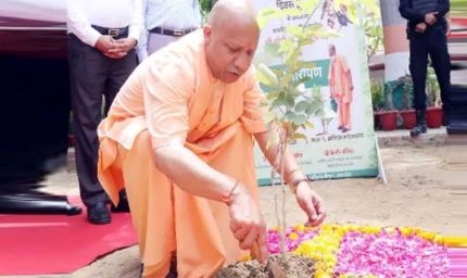 शिक्षकों के सम्मान में सभी वन प्रभाग लगाएंगे 'एक पेड़ गुरु के नाम'