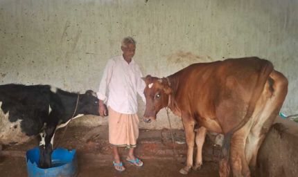 ’पीएम किसान सम्मान निधि की बचत से खरीदी पहली गाय, आज 10 गायों के साथ आत्मनिर्भर बने 75 वर्षीय परशुराम गुप्ता’