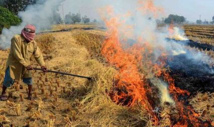 विदिशा में लगेगा CBG प्लांट, अब पराली नहीं जलेगी बल्कि किसानों की बढ़ेगी कमाई