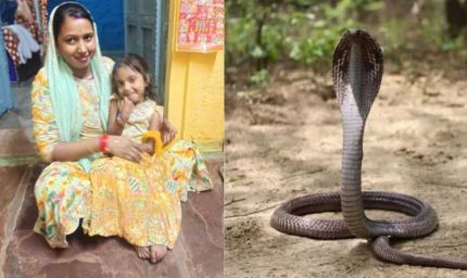 सांप के डसने से 4 साल की बच्ची की मौत, परिजनों ने अस्पताल पर लगाए गंभीर आरोप