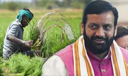 हरियाणा में किसानों के लिए बड़ा फैसला, धान छोड़ने पर 5 साल तक बढ़ती जाएगी प्रोत्साहन राशि