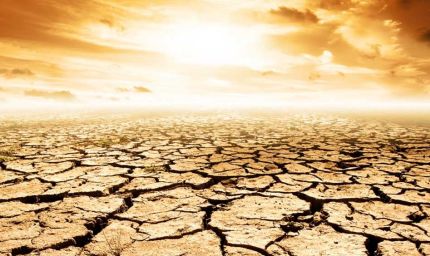 खतरे की घंटी! 2100 तक 40% धरती बन सकती है रेगिस्तान, इंसानों से लेकर पेड़-पौधों तक पर मंडराएगा संकट