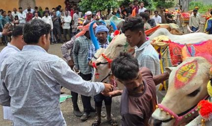 CG में पोला पर्व की धूम, CM विष्णुदेव साय कार्यक्रमों में होंगे शामिल