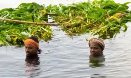 सरयू नदी का जलस्तर बढ़ा, सिवान के दियारा इलाके में बाढ़ जैसे हालात