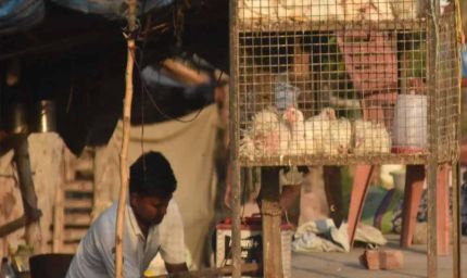 CG में 5 दिन मांस-मटन की बिक्री पर रोक, उल्लंघन करने वालों पर होगी सख्त कार्रवाई