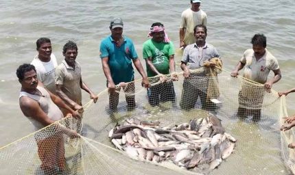 प्रधानमंत्री मत्स्य संपदा योजना ने बदली किसानों की किस्मत, मछली पालन बना अतिरिक्त आमदनी का मजबूत जरिया