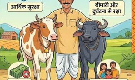 हरियाणा में पशुधन बीमा योजना का लाभ, 19.19 लाख पशुओं का हुआ इंश्योरेंस