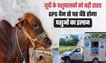 गोवंश को तुरंत मिलेगा उपचार, हर जिले में बनेगा इमरजेंसी रेस्क्यू सिस्टम