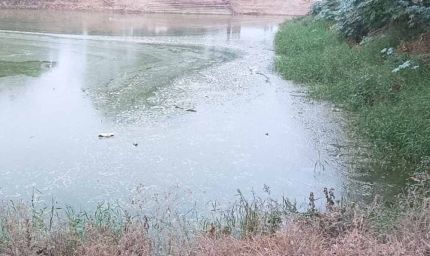 अमृतसर के रिहायशी इलाकों में घुसा नहर का पानी, पाइपलाइन बिछाने में लापरवाही के आरोप