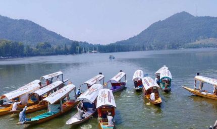 आर्टिकल 370 हटने के बाद कश्मीर में बदली तस्वीर, लोकल आतंकियों के आंकड़ों में गिरावट