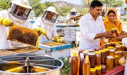 राजस्थान में 17.5 करोड़ से बनेंगे मधुमक्खी एक्सीलेंस सेंटर, युवाओं को मिलेगा प्रशिक्षण और रोजगार