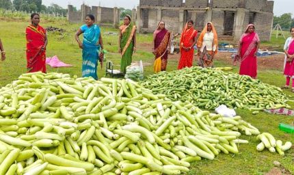 अतिक्रमण मुक्त 25 एकड़ बंजर भूमि पर उगी समृद्धि