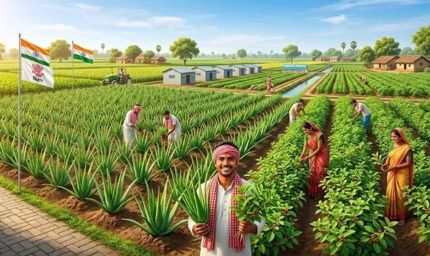 बिहार के किसानों के लिए बड़ी पहल, 100 हेक्टेयर में होगी औषधीय पौधों की खेती