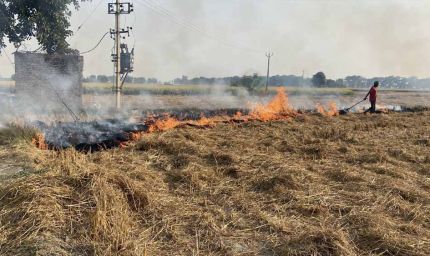 पंजाब में धान कटाई के साथ पराली जलना शुरू, 6 दिन में 15 मामले