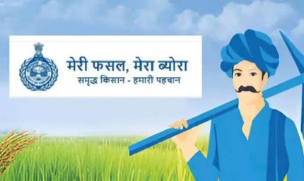 हरियाणा के किसानों को फिर मौका, ‘मेरी फसल-मेरा ब्योरा’ पोर्टल 27 सितंबर तक खुला