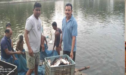 0.40 हेक्टेयर में गुलाब पटेल ने लिखा मछली पालन से समृद्धि का नया अध्याय