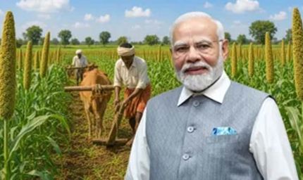 झारखंड को बंजर भूमि विकास के लिए मिलेंगे ₹20 करोड़, मिलेट्स की खेती को मिलेगा बढ़ावा