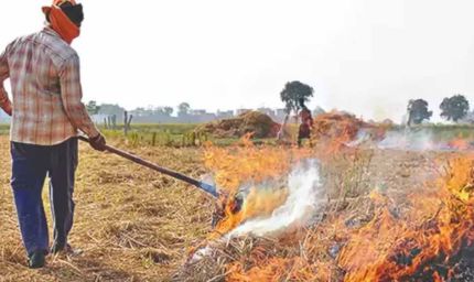 पराली जलाने से रोकने के लिए किसानों को ₹100 प्रति क्विंटल प्रोत्साहन मिले: प्रताप सिंह बाजवा