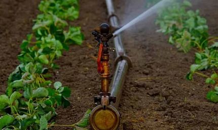 यूपीआईटीएस-26 में दिखेगी यूपी की स्मार्ट सिंचाई व्यवस्था, तकनीक से जल प्रबंधन और बाढ़ नियंत्रण का बना यूपी मॉडल