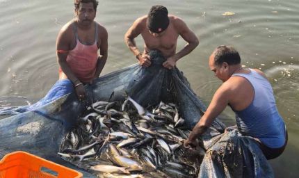 मत्स्य पालन से संवरी गांधीराम की ज़िंदगी