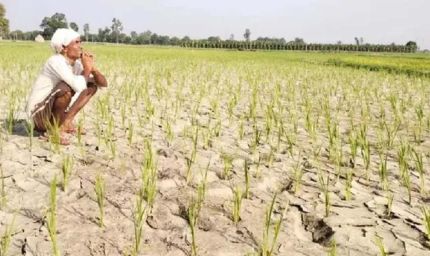 हरियाणा से मानसून की विदाई, सामान्य से 23% कम हुई बारिश; 317.5 मिमी वर्षा दर्ज