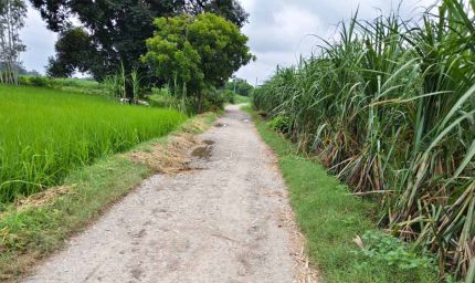 गन्ने से बासमती तक, खेती की चुनौतियों पर मेरठ में हुआ मंथन