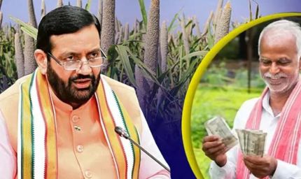 हरियाणा के बाजरा किसानों को बड़ी राहत, भावांतर योजना में मिलेगा ₹2900 MSP